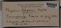 Image Associated With the Occurence